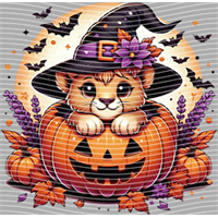 Halloween-WS 5706